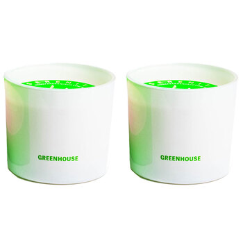 2PK Serenity Hidden Message Main Character Energy Candle - Greenhouse 250g