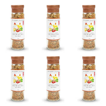6PK Hot Shots The Gourmet Collection Spice Blend Ginger Lemon Sriracha 125g