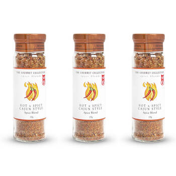 3PK Hot Shots The Gourmet Collection Spice Blend & Spicy Cajun 170g Seasoning