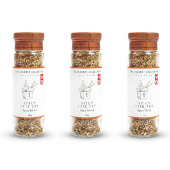 3PK Hot Shots The Gourmet Collection Spice Blend Spicy Stir Fry 145g Seasoning