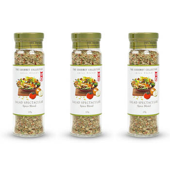 3PK Hot Shots The Gourmet Collection Spice Blend Salad Spectacular 105g Seasoning