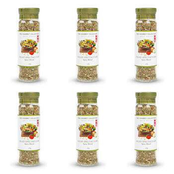 6PK Hot Shots The Gourmet Collection Spice Blend Salad Spectacular 105g Seasoning