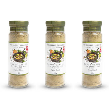 3PK Hot Shots The Gourmet Collection Spice Blend Tangy Garlic 120g Seasoning