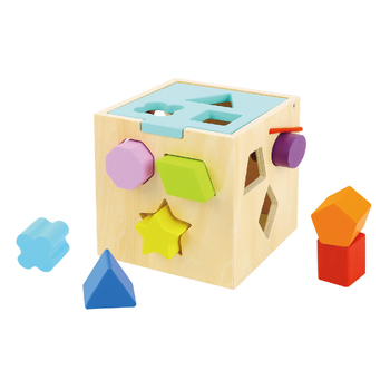 Tooky Toy Shape Sorter With 12 Pcs Wooden Blocks
