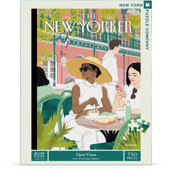750pc New York Puzzle Company Jigsaw Puzzle 45x60cm Open Vistas 10+