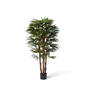 E Style 150cm Palm Raphis Lady Artificial Potted Plant - Green