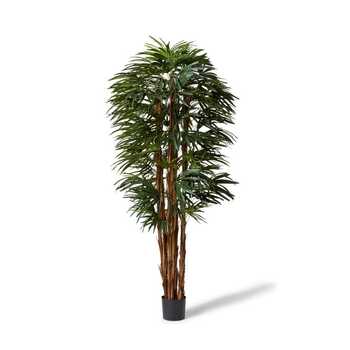 E Style 210cm Palm Raphis Lady Artificial Potted Plant - Green
