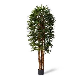 E Style 240cm Palm Raphis Lady Artificial Potted Plant - Green