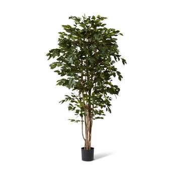 E Style 210cm Ficus Tree Artificial Plant Decor - Green