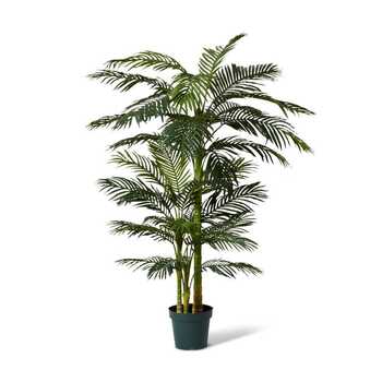E Style 198cm Palm Cane Artificial Potted Plant - Green