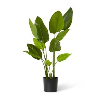 E Style 60cm Bird of Paradise Artificial Potted Plant - Green