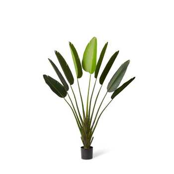 E Style 160cm Palm Travellers Artificial Potted Plant - Green