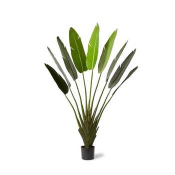 E Style 180cm Palm Travellers Artificial Potted Plant - Green