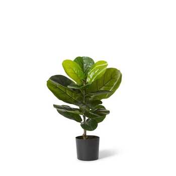 E Style 55cm Fiddle Tree Artificial Plant Decor - Green