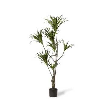 E Style 160cm Dragon Tree Artificial Plant Decor - Green