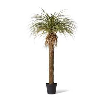 E Style 183cm Yucca Grass Tree Artificial Plant Decor - Green