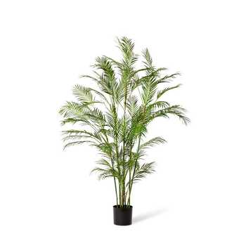 E Style 180cm Palm Phoenix Artificial Plant Decor - Green