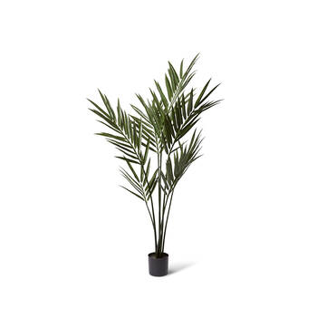 E Style Palm Kentia Tree Garden Decor 80x183cm - Green