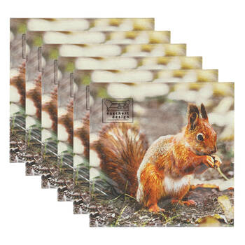 6x 20pc Esschert Design Paper Napkins Robin/Squirrel 3-Ply Large 33cm