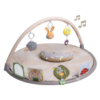 Taf Toys Tummy Time Baby Activity Gym Plush Padded Mat Toddlers/Infants 0m+