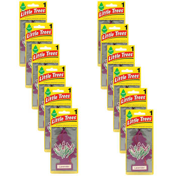 12PK Little Trees Hanging Paper Car Air Fresheners - Assorted