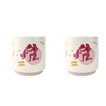 2x Urban Aquarius Zodiac 13cm Ceramic Planter Pot Small - Purple