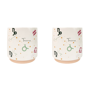 2x Urban Zodiac 13cm Ceramic Planter Colourful Flower Pot - Small