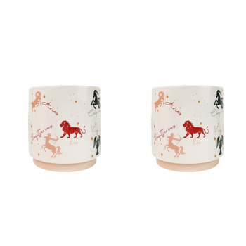 2x Urban Zodiac 16cm Ceramic Planter Colourful Flower Pot - Medium
