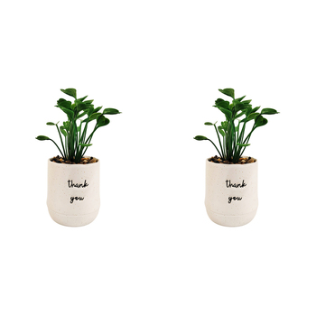 2x Urban Positivity Quote 9cm Thank You Potted Plant Artificial Home Decor