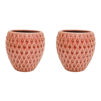 2PK Urban Strawberry Planter Pink 12cm Home Decorative Garden Decor