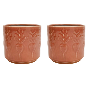 2PK Urban Turnip Planter Salmon 14cm Home Decorative Garden Decor