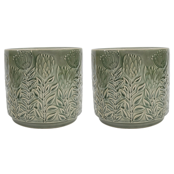 2PK Urban Protea Planter Sage 17cm Home Decorative Garden Decor