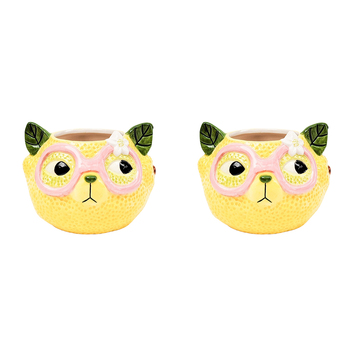 2PK Urban Products Tropicana Cat Lemon Planter Yellow 9cm