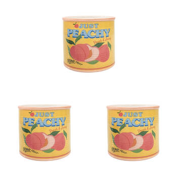 3PK Urban Ceramic Just Peachy Can Outdoor Planter Pot 12x14cm Yellow