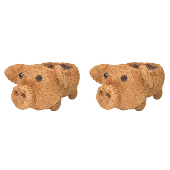 2PK Urban HUSK Pig Planter Brown 15cm Home Decorative Garden Decor