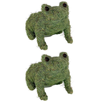 2PK Urban Husk Frog Coconut Fibre Planter Pot 20x15cm Green