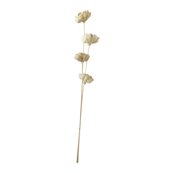 Urban Dried Sola 100cm Flower Buds Stem Floral Decor - Natural