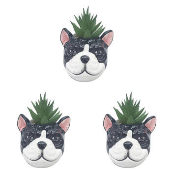 3PK Urban Ceramic Mini Bulldog Decorative Planter Pot with Plant 10cm Black