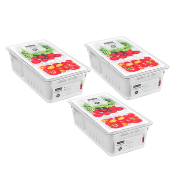 3x Boxsweden Crystal 3L/32cm Crisp Bin 2-Section Storage - White