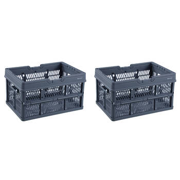 2PK Boxsweden Foldaway Carry Basket Organiser 26.5L 44x30.5x25cm Assorted