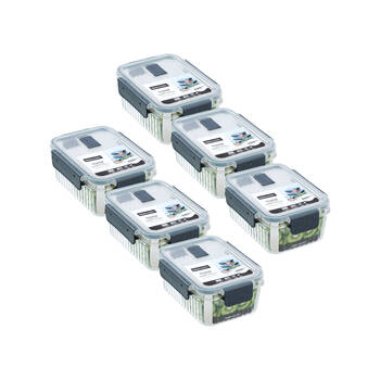 6PK Lemon and Lime Crystal Ribbed Food Storage Container 880mL/7.5cm Assorted