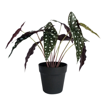Urban Spotted Begonia 38cm Artificial Potted Plant - Green White