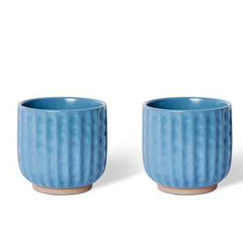 2PK E Style Emery 14cm Ceramic Plant Pot Decor - Blue