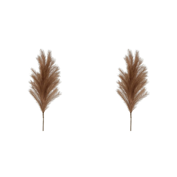 2PK Belle Wheat Grass Home Decorative Plant 110cm Brown
