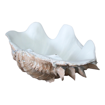 LVD Decorative 19.5cm Resin Clam Shell/Trinket Decor - Natural