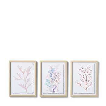 E Style 30x40cm Coral Parchment Paper Wall Art  - Assorted