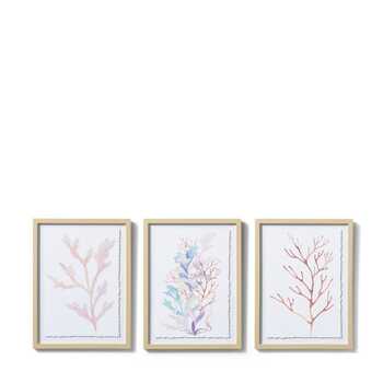 E Style 30x40cm Coral Parchment Paper Wall Art  - Assorted