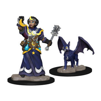 Wardlings Girl Cleric & Winged Cat Pre-Painted Miniatures 8y+