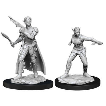 2pc Dungeons & Dragons Nolzur's Marvelous Unpainted Minis Shifter Rogue Female