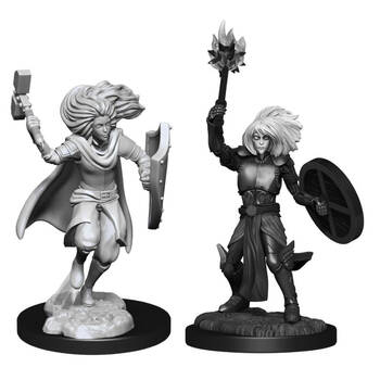 2pc Dungeons & Dragons Nolzur's Marvelous Unpainted Miniatures Changeling Cleric Male